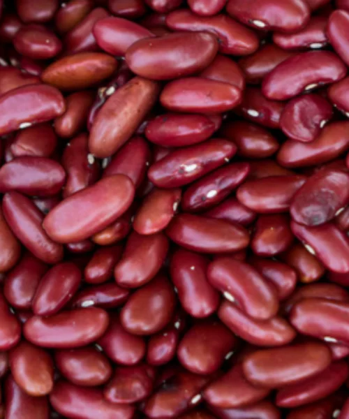 Kidney Beans (Rajma)